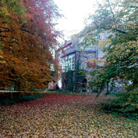 Autumn leafs at Stavenow Castle